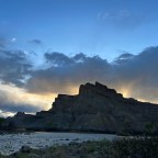 Neither Bird Nor Tree